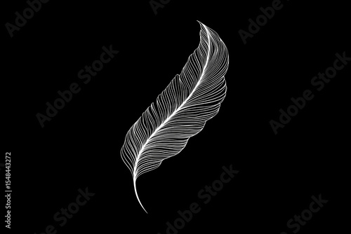 Single line feather vector logo design with subtle curves
