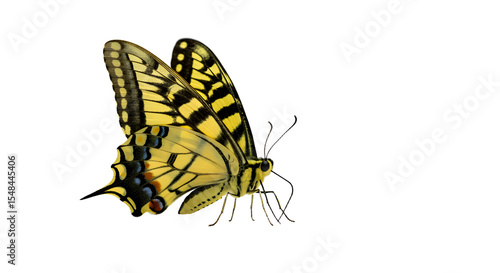 A vibrant yellow butterfly gracefully flutters through a sunny garden, showcasing nature's beauty and tranquility