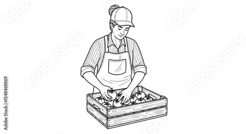 Woman placing tomatoes into a wooden crate in black and white illustration style