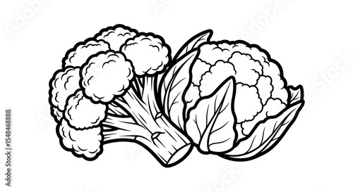 Broccoli and cauliflower heads in black and white illustration style