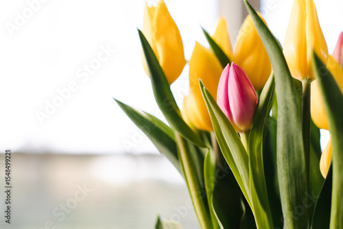 bouquet of tulips