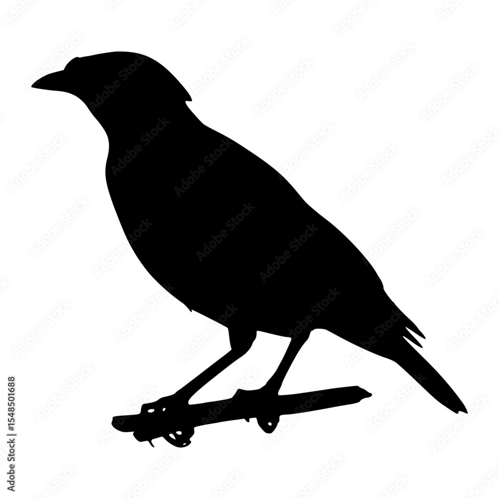 Obraz premium Silhouette Bird Outline Vector Graphic