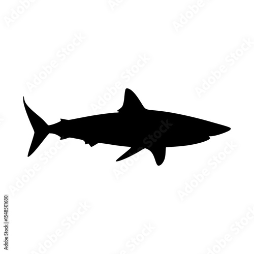 Shark Silhouette Vector Illustration