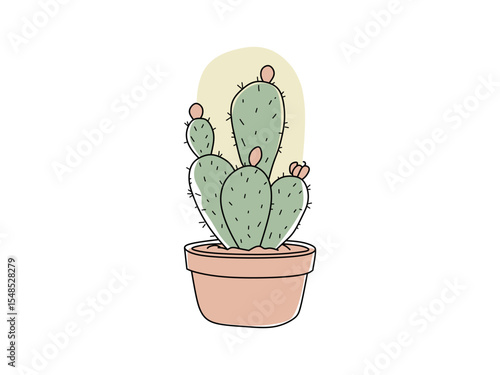 colorful cactus vector for ornamental plants