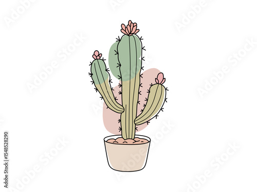 colorful cactus vector for ornamental plants