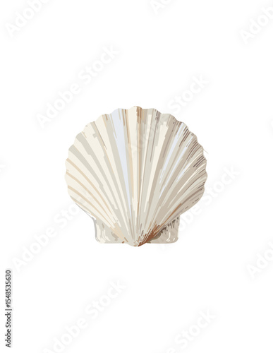 sea shell
