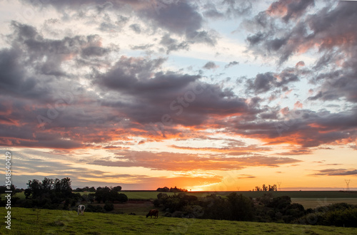 sunset over the field