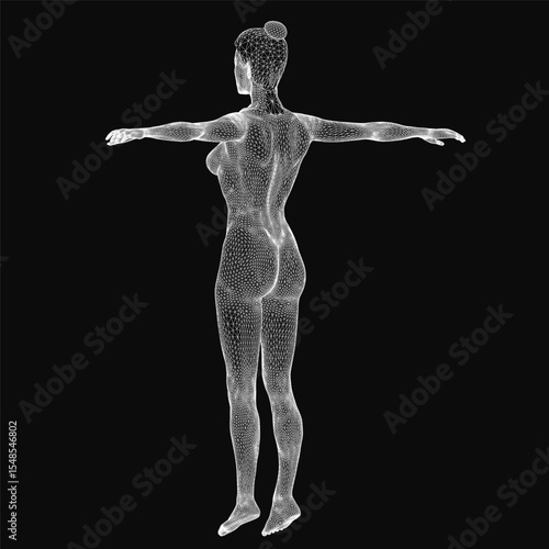 Wireframe model of a woman showcasing skeletal structure with geometric lines and digital rendering. The transparent design highlights anatomical accuracy while maintaining a futuristic aesthetic.