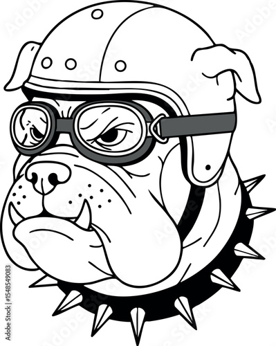 Bulldog wearing vintage helmet and goggles with spiked collar in black and white vector illustration 