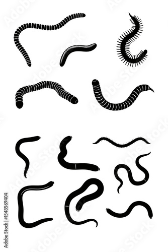 vector illustration of a worms silhouettes