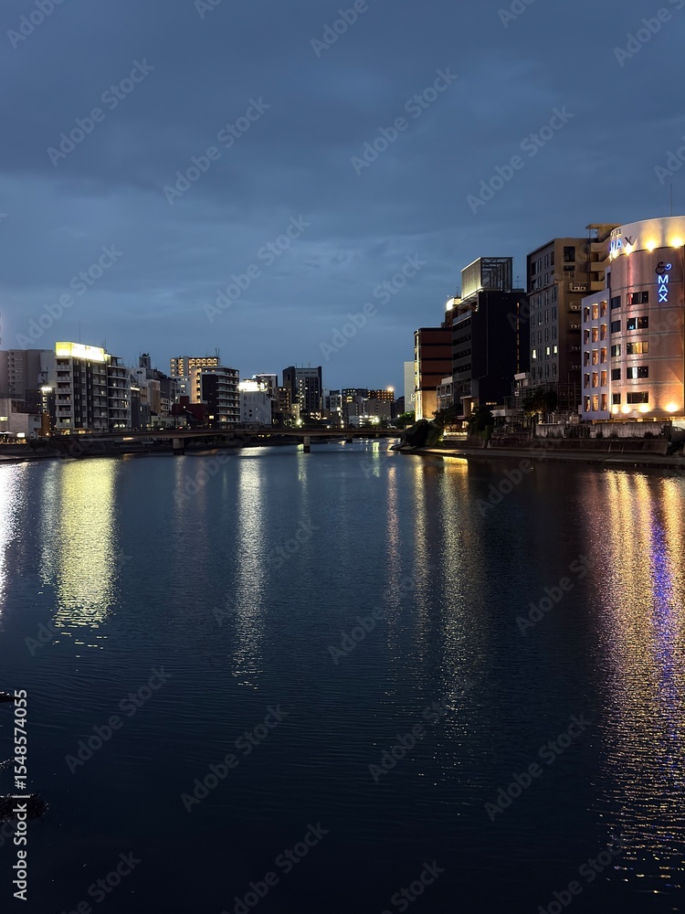 Obraz premium san diego skyline at night