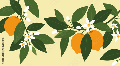 Stylized Orange Tree Branches with Blossoms and Ripe Fruit Illustration.