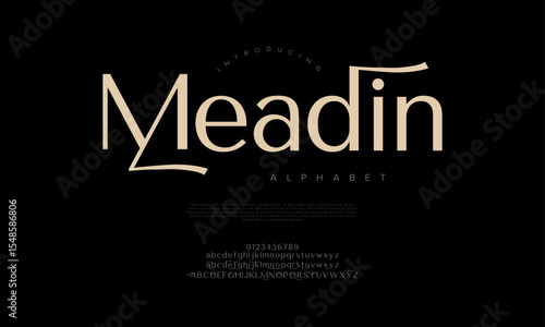 Modern serif with decorative flair and artistic lines, perfect for fashion and premium branding