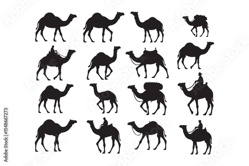 Collection of camel silhouettes various poses and loads