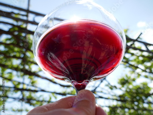 Red wine in wineglass held up in hand to the sky and getting swirled around at wine tasting
