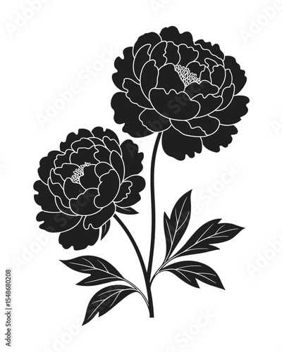 Peony Flower Silhouette – Elegant Black Botanical Illustration with Blooming Detail