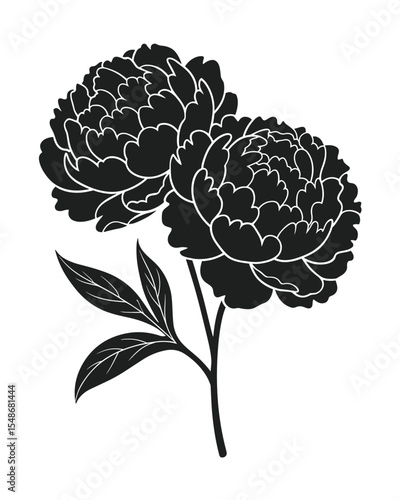 Peony Flower Silhouette – Elegant Black Botanical Illustration with Blooming Detail