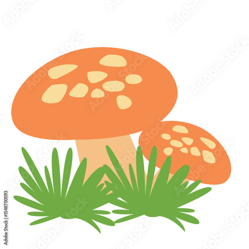  A pair of mushrooms, representing natural fungi growth in the forest, ideal for organic, nature, and outdoor-themed designs.