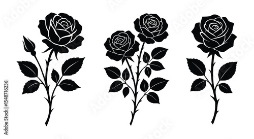 Black and White Rose Silhouette Set Elegant Botanical Vector Flowers