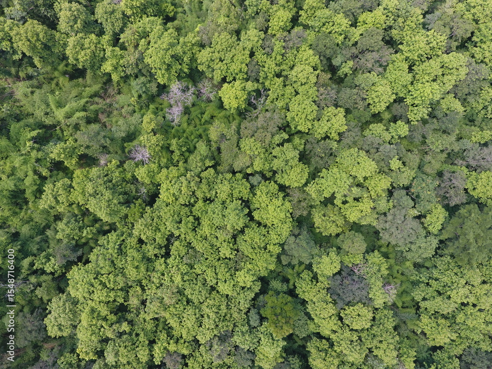 Naklejka premium Top View Aerial Photograph