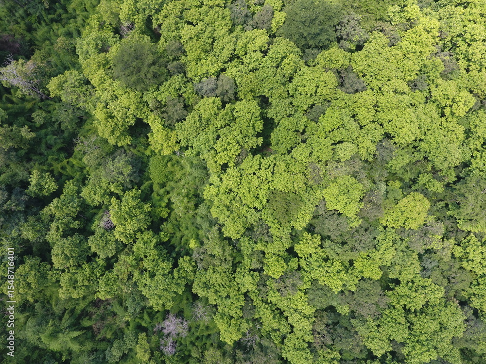 Naklejka premium Top View Aerial Photograph