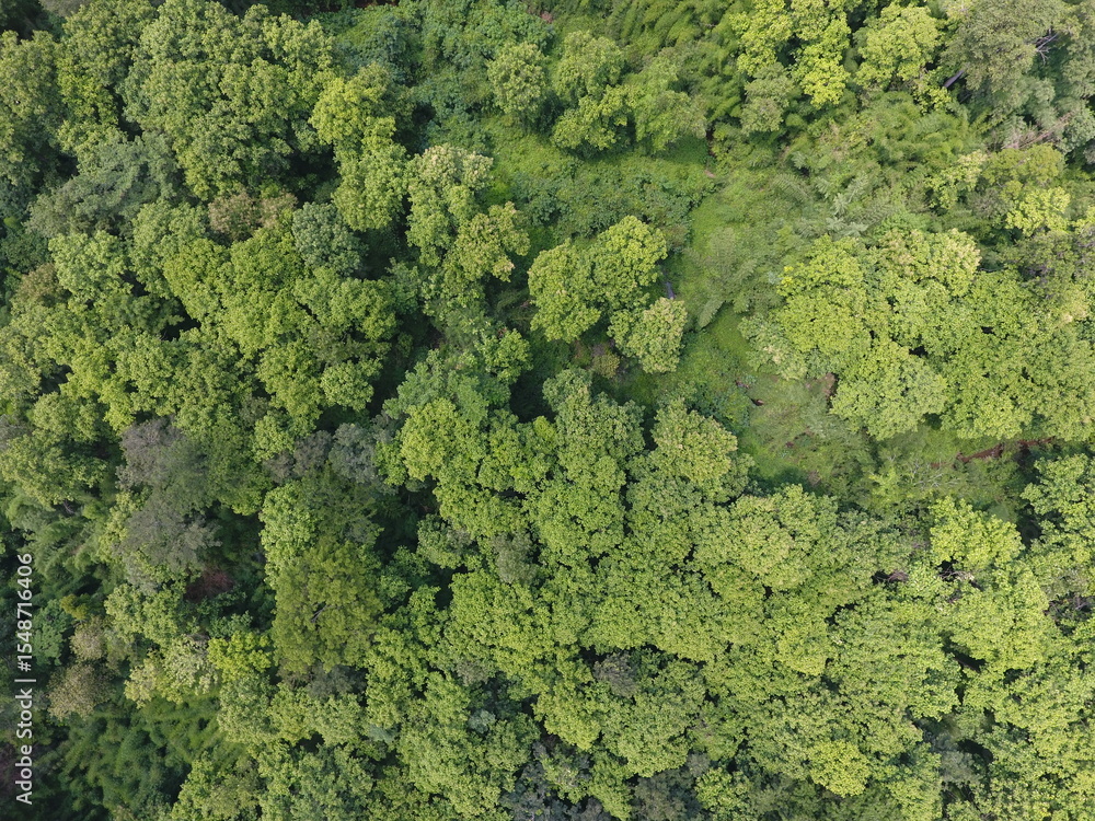 Naklejka premium Top View Aerial Photograph