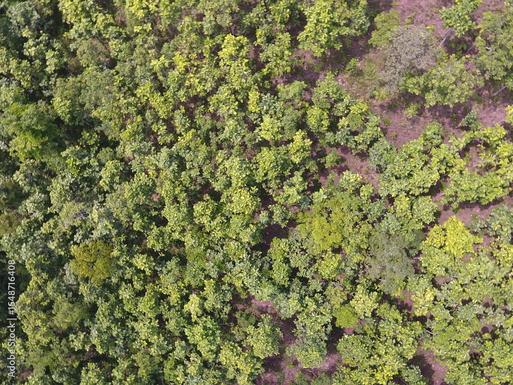 Naklejka premium Top View Aerial Photograph