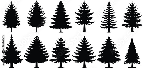 Set of Pine Tree Silhouettes Vector Collection,set of different tree silhouette vector,Pine tree vector silhouette,silhouette black color vector,pine tree forest silhouette,illustration,Ai