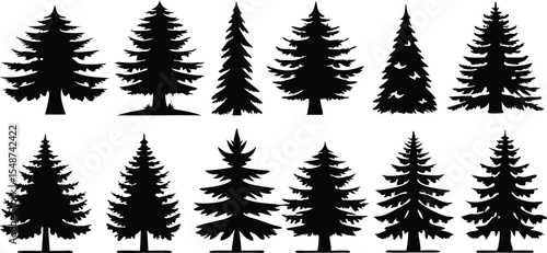 Set of Pine Tree Silhouettes Vector Collection,set of different tree silhouette vector,Pine tree vector silhouette,silhouette black color vector,pine tree forest silhouette,illustration,Ai