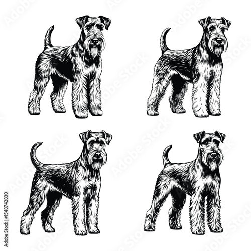 Airedale Terrier dog svg
