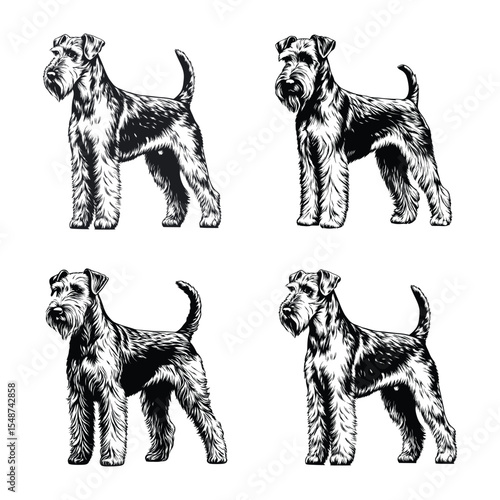Airedale Terrier dog svg