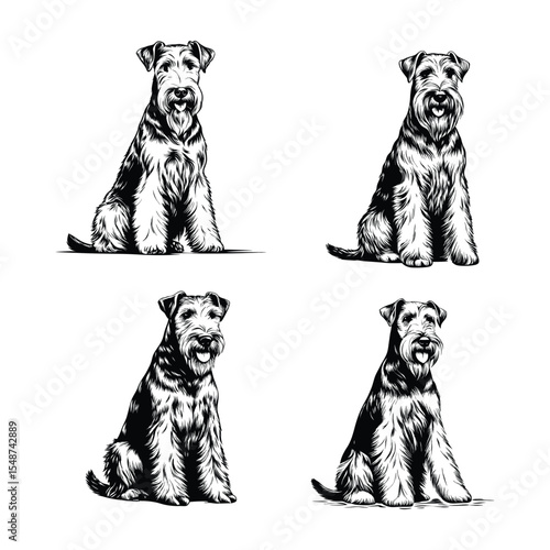 Airedale Terrier dog svg