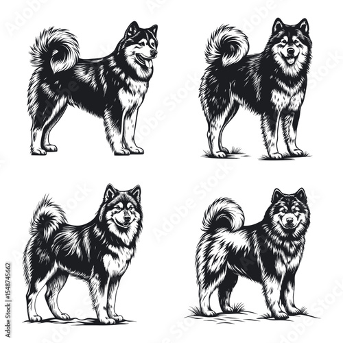 Alaskan Malamute dog svg