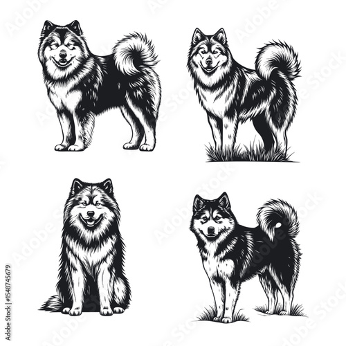 Alaskan Malamute dog svg