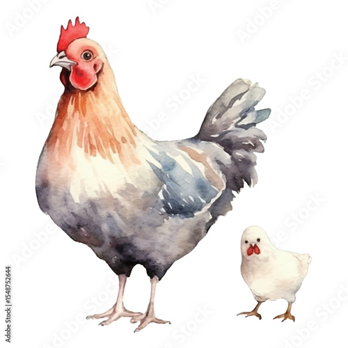 Watercolor Illustration of a Hen and Chick (1)