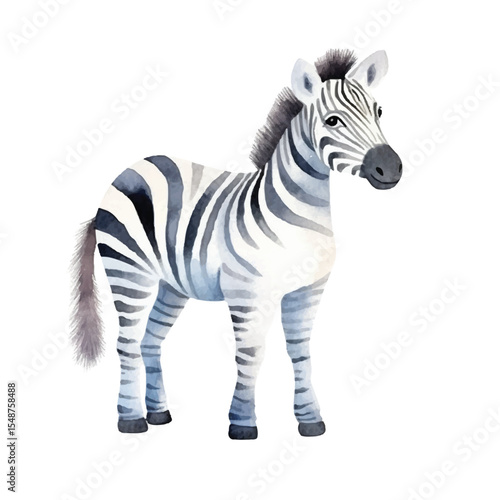 Watercolor Zebra with Black and White Stripes Standing in Profile View
