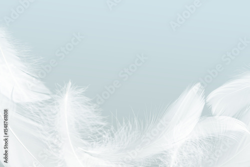 White Bird Feathers Background. Fluffy Downy, Flying Feathers. Softness of Feathers Falling in Heavenly. Swan Feather on White Background.	
