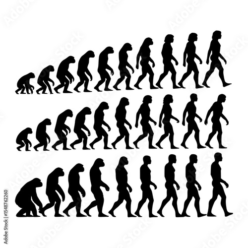 Human evolution silhouettes three stages of hominid development