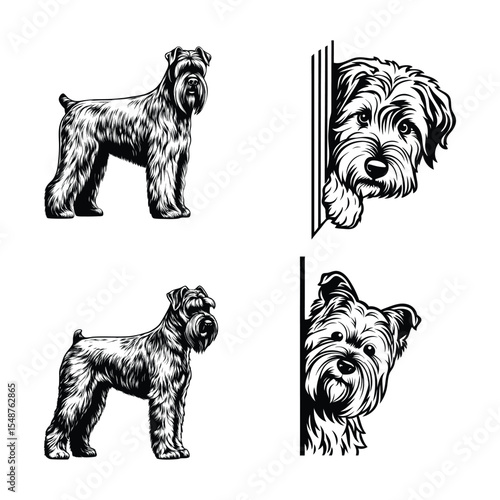 Bouvier des Flandres Dog Svg