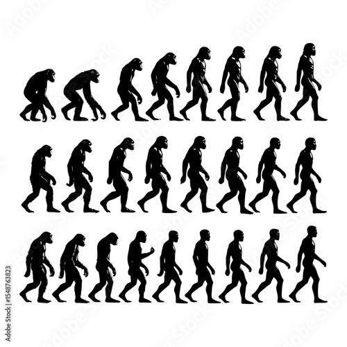 Human evolution stages silhouettes illustration