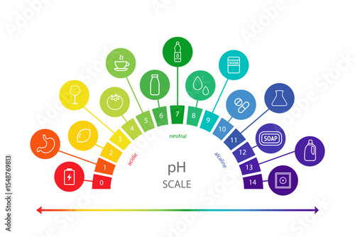 PH value Scale chart. Liquid level, litmus color change. Ph food analysis or chemical test. Vector illustration in flat style.