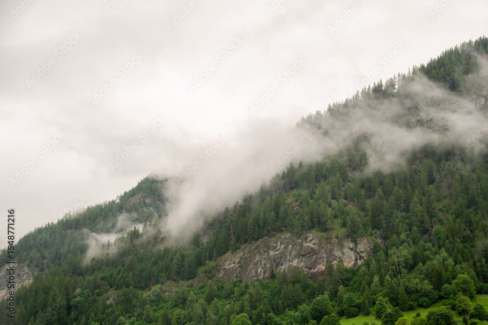 fog in the mountains fog in the mountains