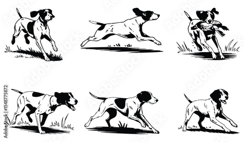 vintage pointer dog set vector illustration, set of duck hunting pointer dog graphic art