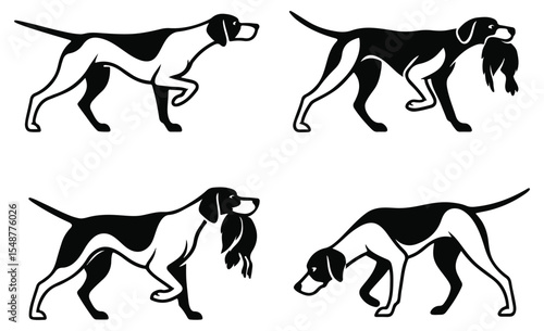 modern type pointer dog set vector illustration, set of duck hunting pointer dog graphic art