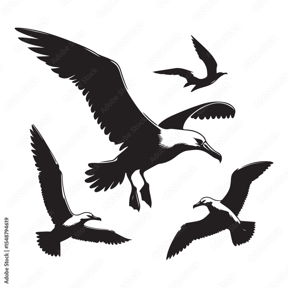 Obraz premium silhouettes of birds