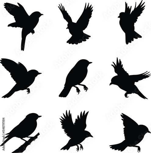 Vector illustration of bird silhouette, for logo design, art decoration, art project and graphic design. Various positions, flying, perched sitting on a branch