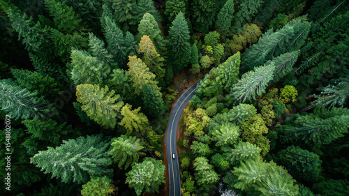 Overhead drone shot of a winding road