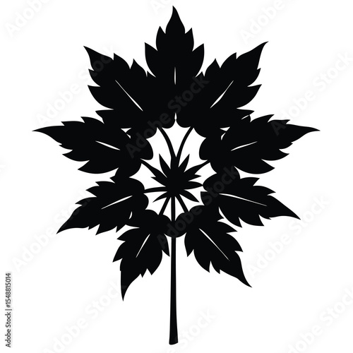 Monochrome silhouette of a detailed leaf with a distinct stem stands isolated nicely