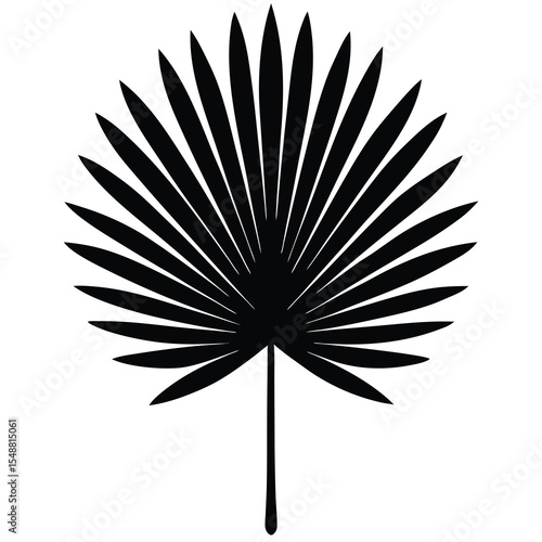 Symmetrical black silhouette shows a single tropical fan palm frond in clean detail