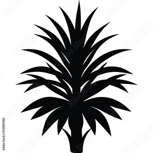 Silhouette of a frond tree presents a black against a white background
